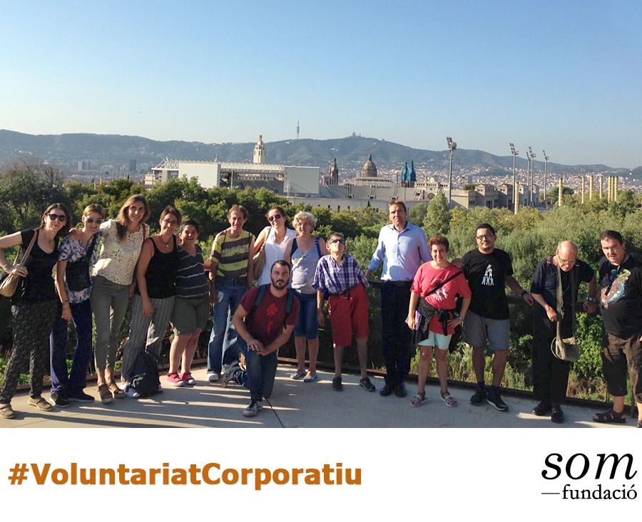 voluntariat-corporatiu-entitats-solidaries