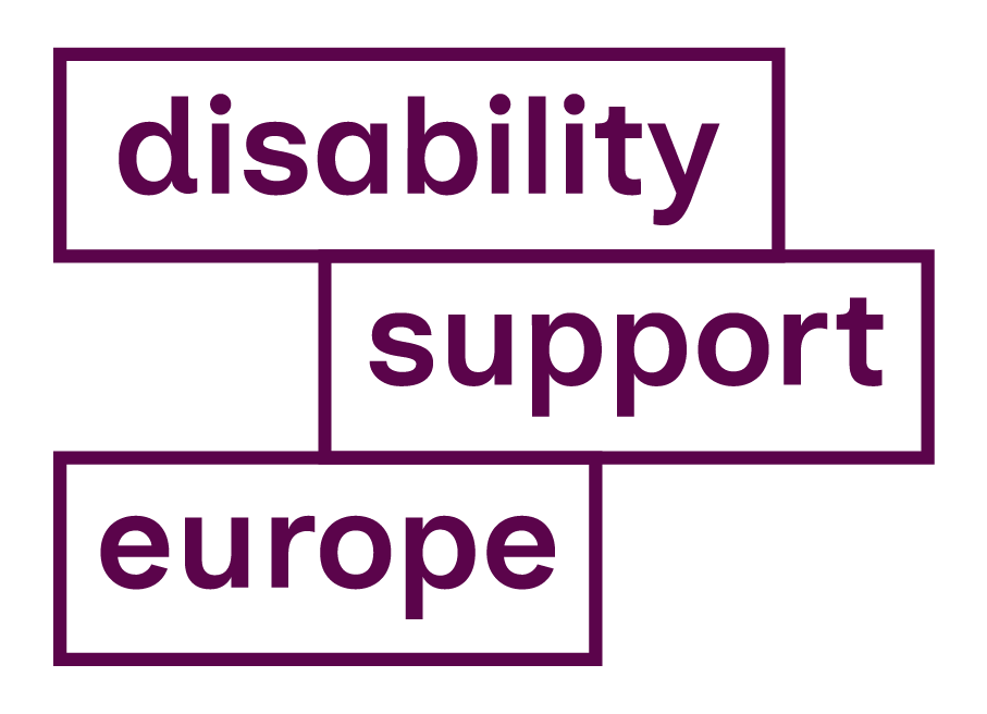 Logo Disability Support Europe